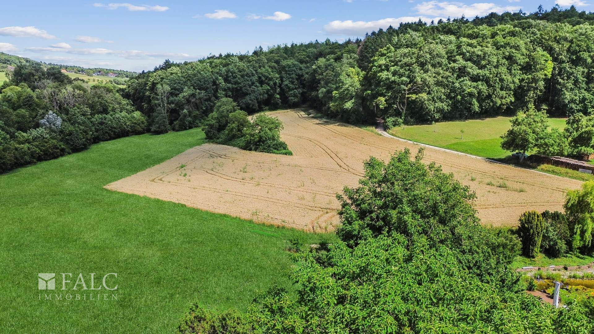Rückwärtiger Ausblick ins Grüne _ direkt am Waldrand gelegen